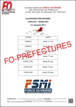 calendrier CAPN  mobilités 1er semestre 2017