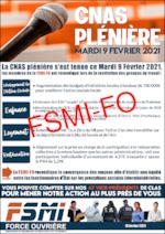 CNAS plénière du mardi 9 février 2021