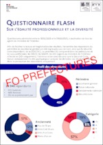 Résultats du questionnaire flash sur l’égalité professionnelle et la diversité